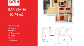 Banesa 66 Hyrja B***TE SHITURA