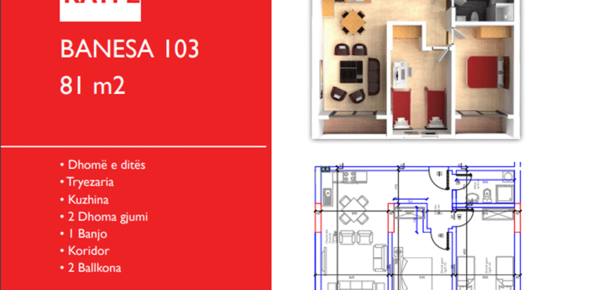 Banesa 103 Hyrja C***REZERVUAR