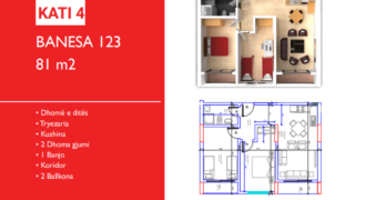 Banesa 123 Hyrja C***REZERVUAR
