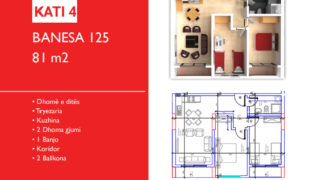 Banesa 125 Hyrja C***REZERVUAR