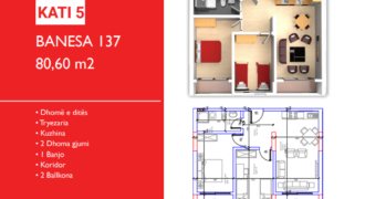 Banesa 137 Hyrja C***REZERVUAR