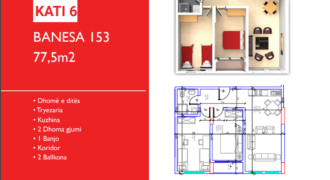 Banesa 153 Hyrja C***REZERVUAR
