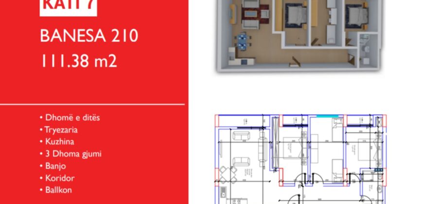 Banesa 210 Hyrja D***REZRVUAR