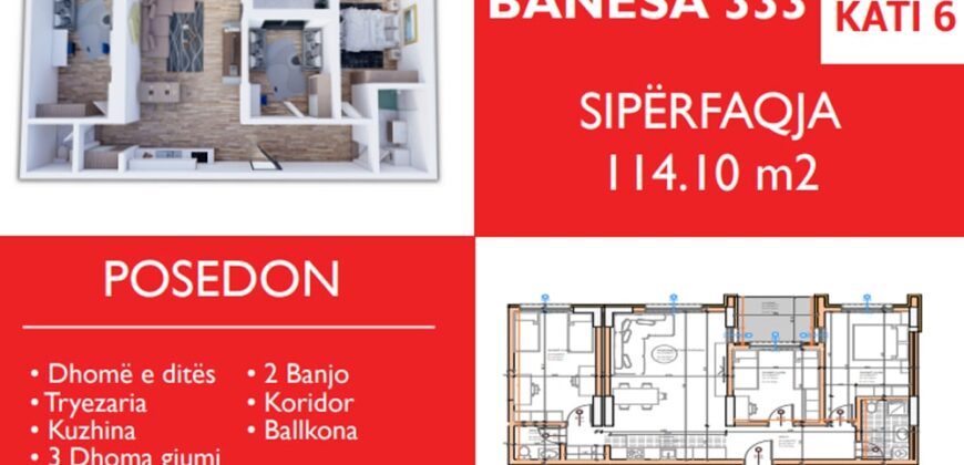 Banesa 333 Blloku “B” Hyrja 1***Pritja e marveshjes Delija Afrim dhe Zyrafete/bs