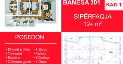 Banesa 201 Blloku i Ri “C” Hyrja 3**REZERVUAR