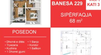 Banesa 229 Blloku i Ri “C” Hyrja 3**REZEVUAR