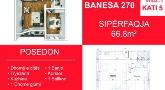 Banesa 270 Blloku i Ri “C” Hyrja 3*REZERVUAR