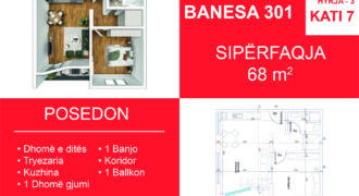 Banesa 301 Blloku i Ri “C” Hyrja