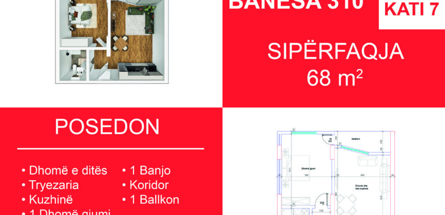 Banesa 310 Blloku i Ri “C” Hyrja 3