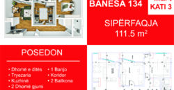 Banesa 134 Blloku i Ri “C” Hyrja 2**REZERVUAR