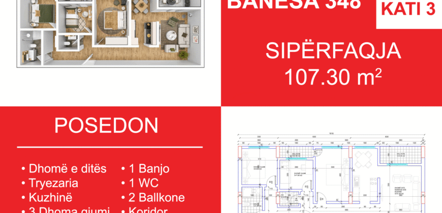 Banesa 348 Blloku i Ri “C4-C12” Hyrja C4