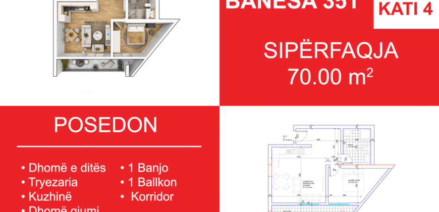 Banesa 351 Blloku i Ri “C4-C12” Hyrja C4