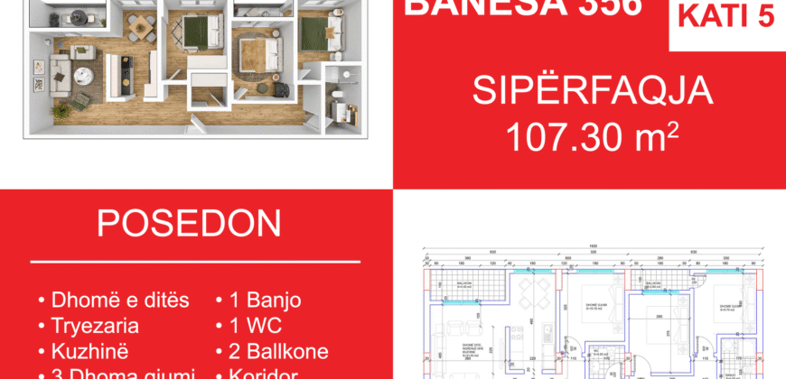 Banesa 356 Blloku i Ri “C4-C12” Hyrja C4