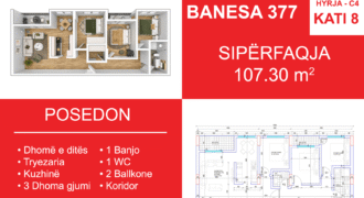 Banesa 377 Blloku i Ri “C4-C12” Hyrja C4