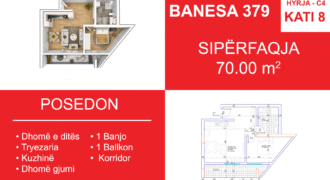 Banesa 379 Blloku i Ri “C4-C12” Hyrja C4