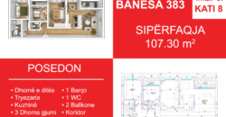 Banesa 383 Blloku i Ri “C4-C12” Hyrja C4