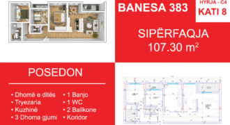 Banesa 383 Blloku i Ri “C4-C12” Hyrja C4