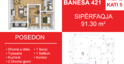 Banesa 421 Blloku i Ri “C4-C12” Hyrja C5