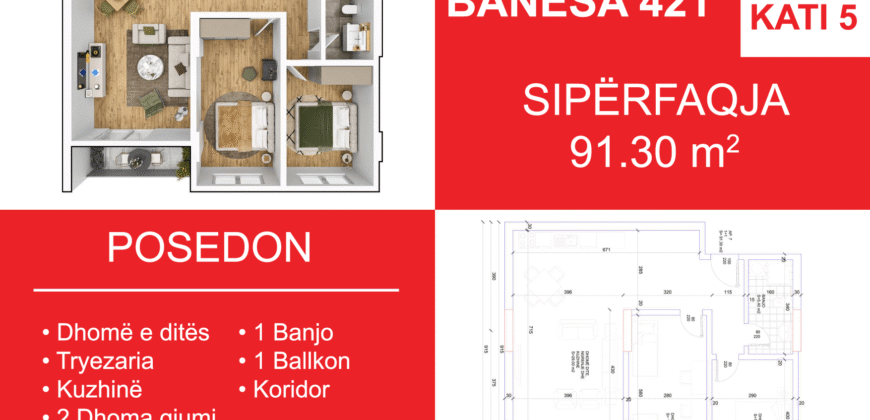 Banesa 421 Blloku i Ri “C4-C12” Hyrja C5