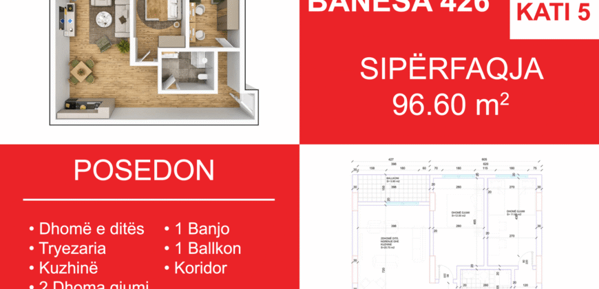 Banesa 426 Blloku i Ri “C4-C12” Hyrja C5