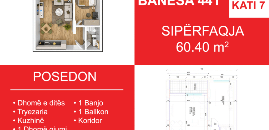 Banesa 441 Blloku i Ri “C4-C12” Hyrja C5