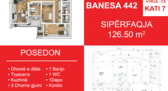 Banesa 442 Blloku i Ri “C4-C12” Hyrja C5