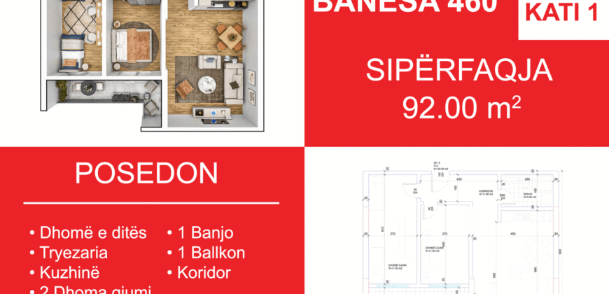 Banesa 460 Blloku i Ri “C4-C12” Hyrja C6