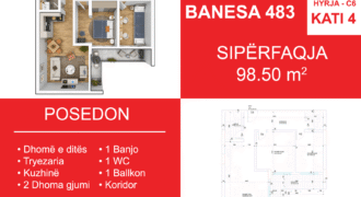 Banesa 483 Blloku i Ri “C4-C12” Hyrja C6