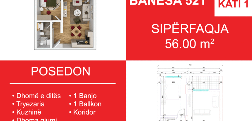 Banesa 521 Blloku i Ri “C4-C12” Hyrja C7***REZERVUAR