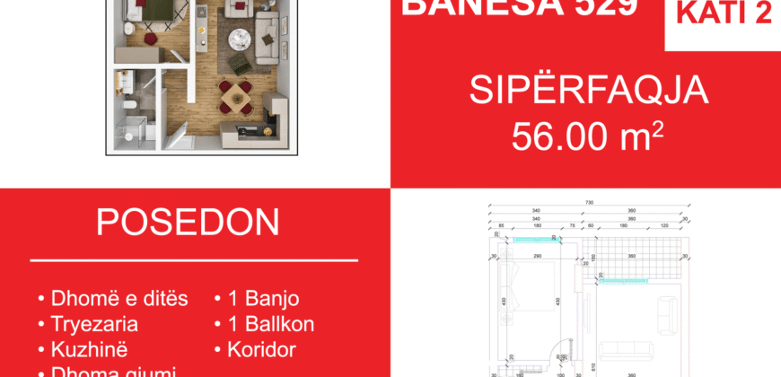 Banesa 529 Blloku i Ri “C4-C12” Hyrja C7***REZERVUAR