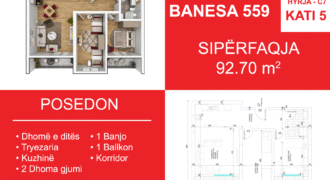 Banesa 559 Blloku i Ri “C4-C12” Hyrja C7