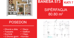 Banesa 573 Blloku i Ri “C4-C12” Hyrja C7