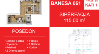 Banesa 661 Blloku i Ri “C4-C12” Hyrja C9