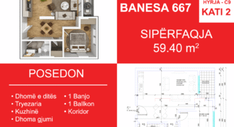 Banesa 667 Blloku i Ri “C4-C12” Hyrja C9
