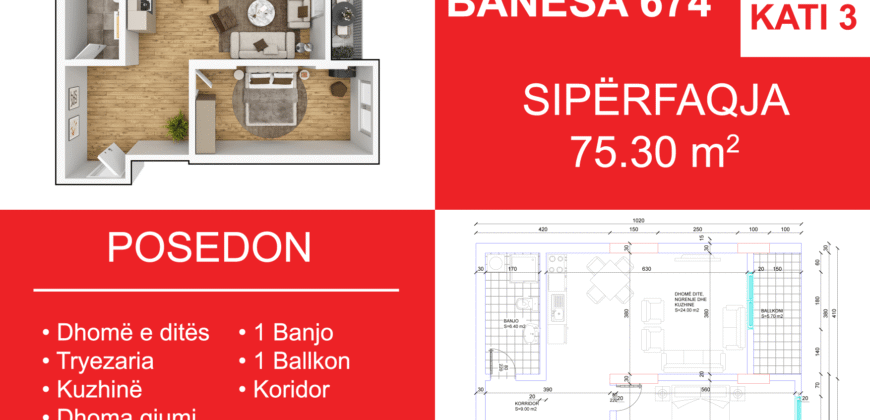 Banesa 674 Blloku i Ri “C4-C12” Hyrja C9