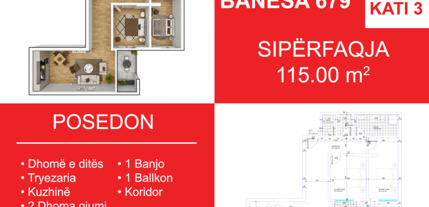 Banesa 679 Blloku i Ri “C4-C12” Hyrja C9