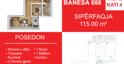 Banesa 688 Blloku i Ri “C4-C12” Hyrja C9