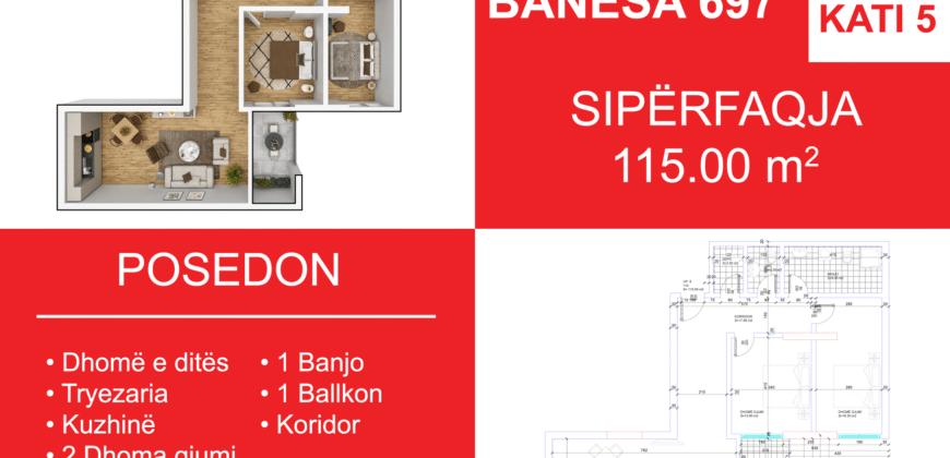 Banesa 697 Blloku i Ri “C4-C12” Hyrja C9