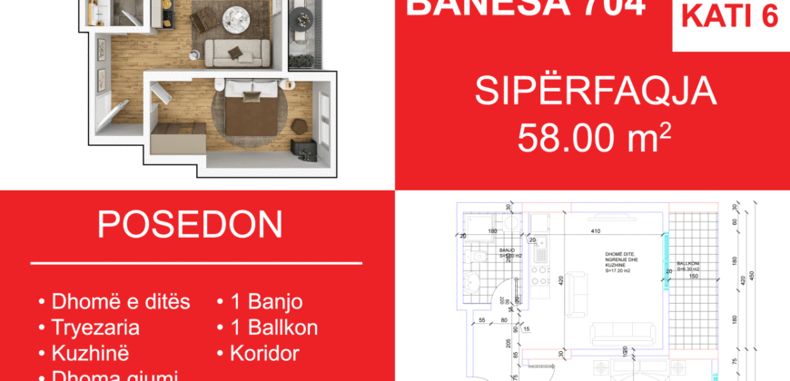 Banesa 704 Blloku i Ri “C4-C12” Hyrja C9