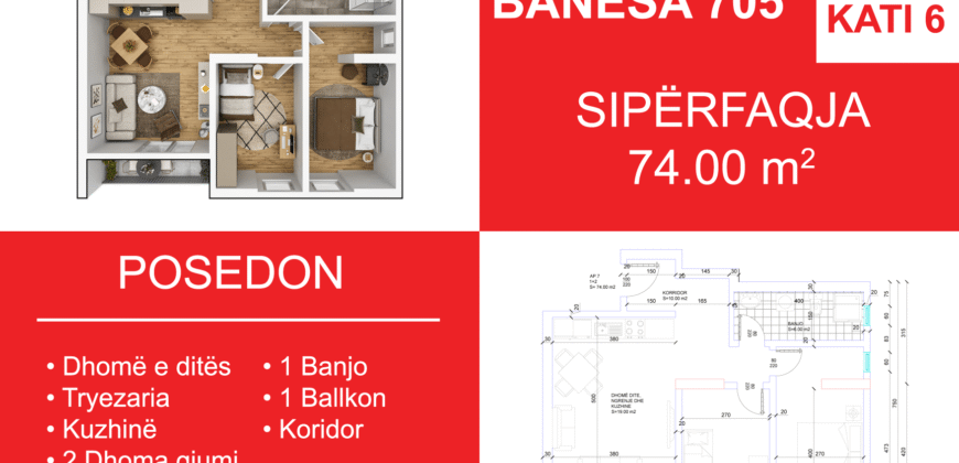 Banesa 705 Blloku i Ri “C4-C12” Hyrja C9