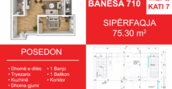 Banesa 710 Blloku i Ri “C4-C12” Hyrja C9