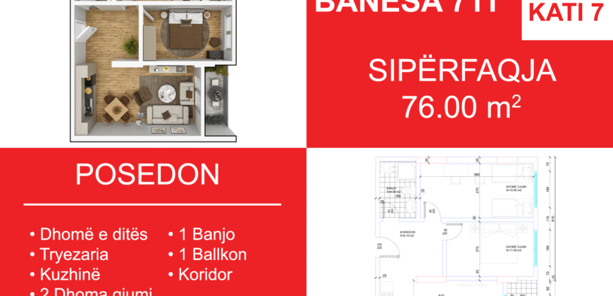 Banesa 711 Blloku i Ri “C4-C12” Hyrja C9**REZERVUAR