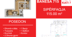 Banesa 715 Blloku i Ri “C4-C12” Hyrja C9