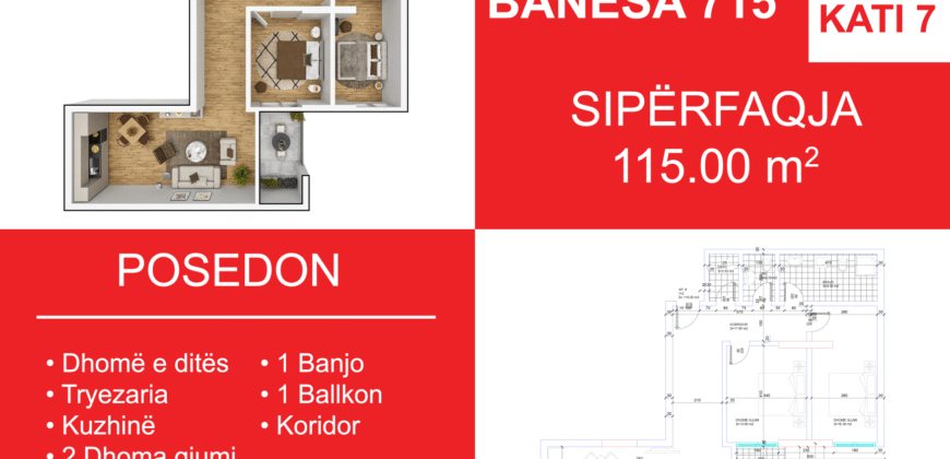 Banesa 715 Blloku i Ri “C4-C12” Hyrja C9