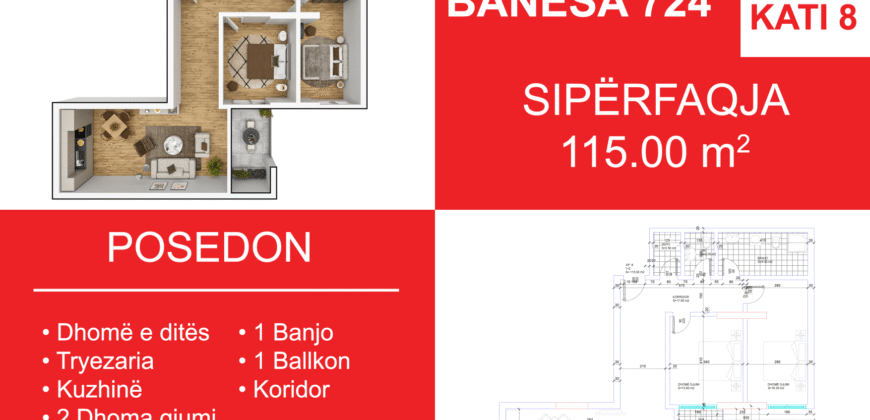 Banesa 724 Blloku i Ri “C4-C12” Hyrja C9