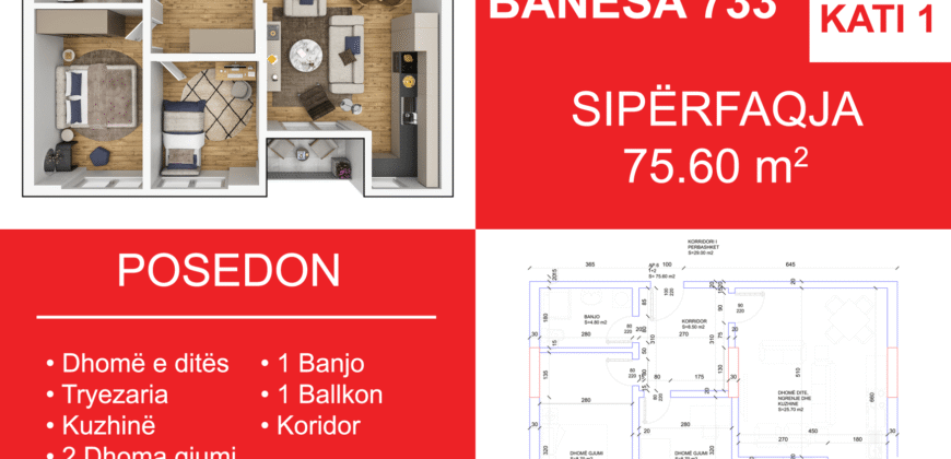 Banesa 733 Blloku i Ri “C4-C12” Hyrja C10**REZERVUAR