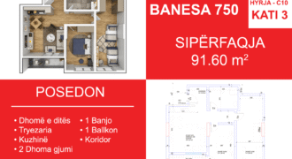 Banesa 750 Blloku i Ri “C4-C12” Hyrja C10**REZERVUAR