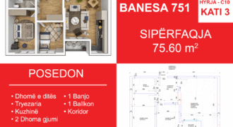 Banesa 751 Blloku i Ri “C4-C12” Hyrja C10**REZERVUAR