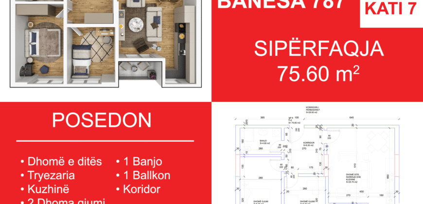 Banesa 787 Blloku i Ri “C4-C12” Hyrja C10**REZERVUAR
