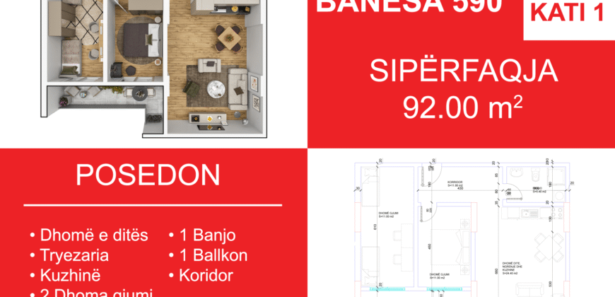 Banesa 590 Blloku i Ri “C4-C12” Hyrja C8